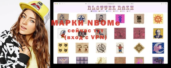 стаф Алексин