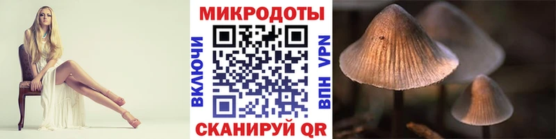 ОМГ ОМГ ТОР  Уяр  Псилоцибиновые грибы GOLDEN TEACHER 